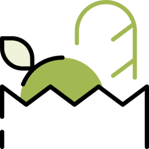 Commande et livraison de courses aux Villas Ginkgos Résidences Seniors