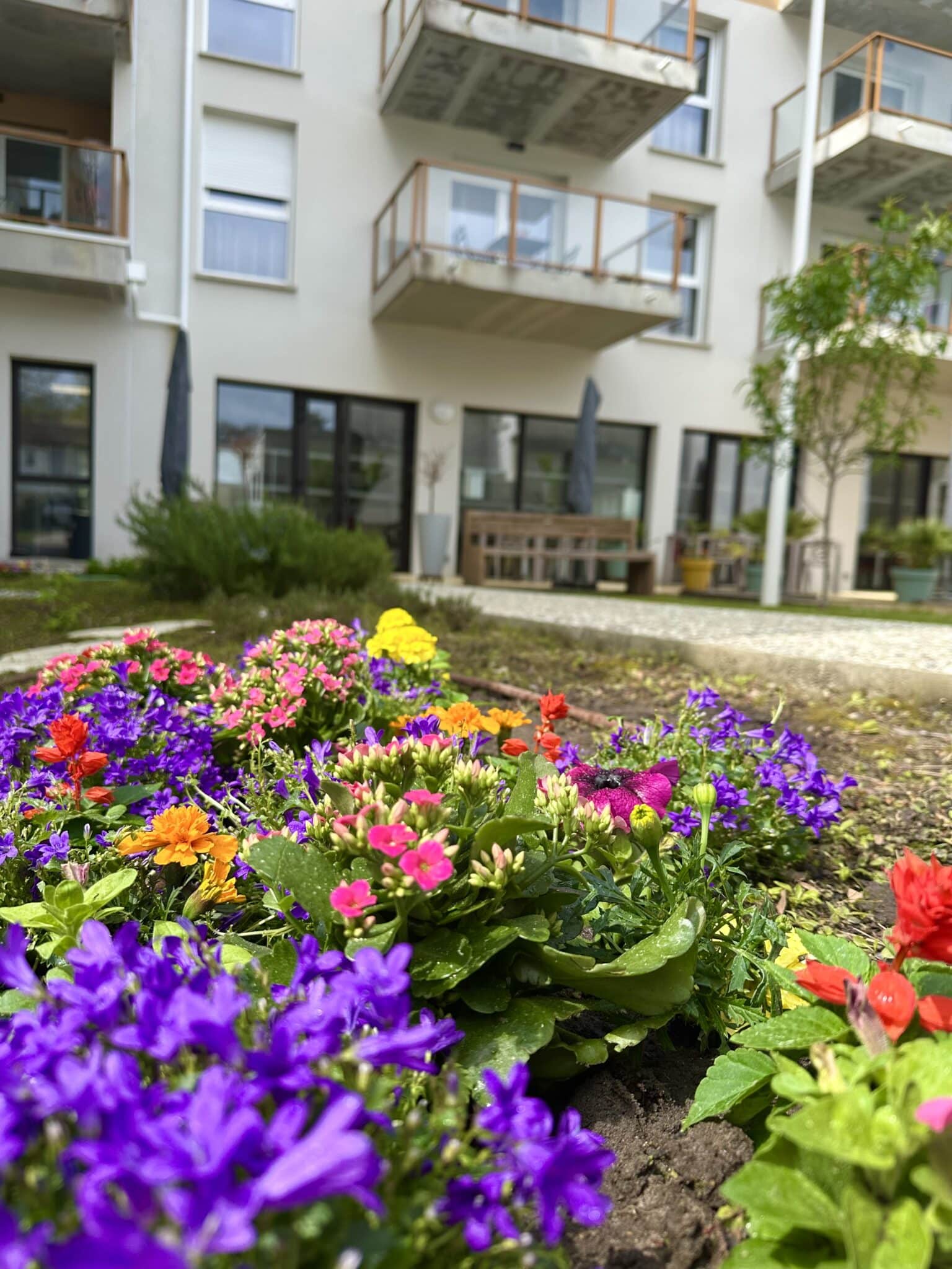 Espaces extérieurs paysagés dans votre Villas Ginkgos Résidences Seniors