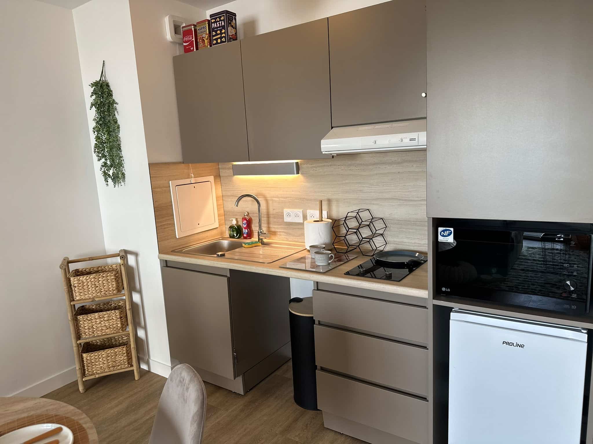 Appartement T2 aux Villas Ginkgos Résidences Seniors